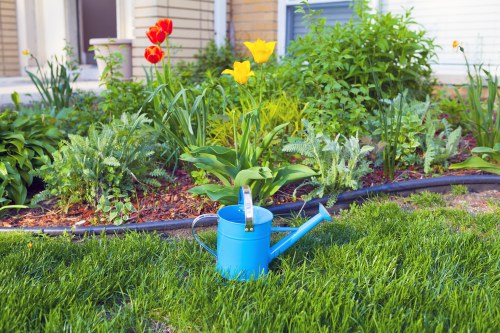 Professional garden clearance services