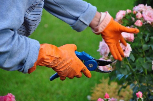 Professional hedge trimming service in Canary Wharf