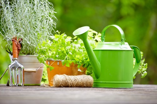 Healthy and maintained garden space