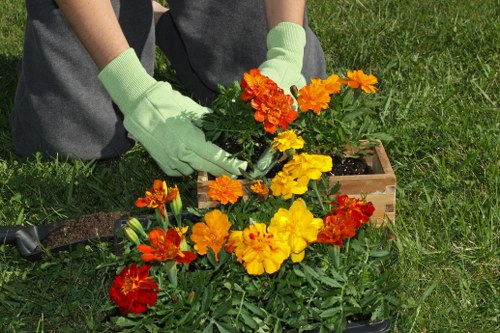 Pruning and trimming of shrubs in an elegant Canary Wharf garden