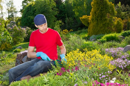 Skilled horticulturists trimming hedges in an urban garden